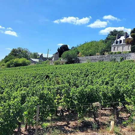 Le Saint Martin / Cathedrale