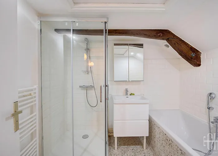 Daire Le Saint Martin / Cathedrale Tours