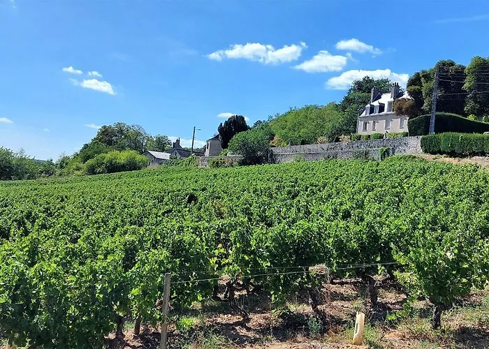 Le Saint Martin / Cathedrale